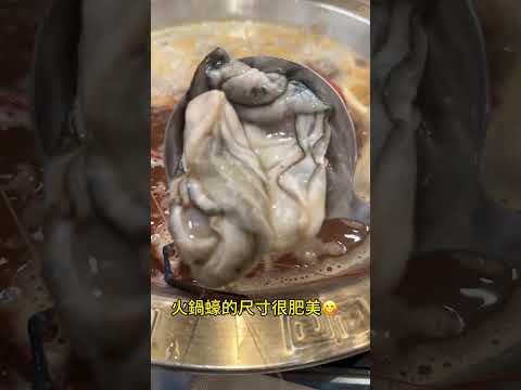 2025年8月11日 千島水產