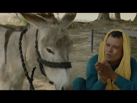 Rana Ijaz New Funny Video | Standup Comedy By Rana Ijaz | Donkey Wali Video Agayi  #ranaijazofficial