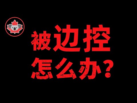 边控生存守则：“敏感人士”如何规划移民？被“盯上”了怎么办？边控有救吗？希望这个视频，能照亮世界的黑暗。