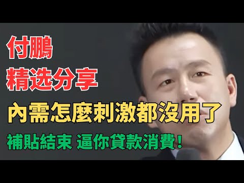 听付总讲财经 - 付鹏警告：中央承认内需不足是经济关键堵点，但银行却让你贷款消费？！11月数据曝光：零售仅增长1%，其它跌3.2%，一线房价暴跌1.1%！补贴一停就不消费，分配体制不改革会失控！