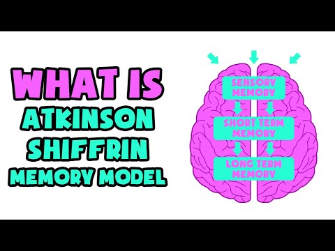 What is Atkinson–Shiffrin Memory Model | Explained in 2 min