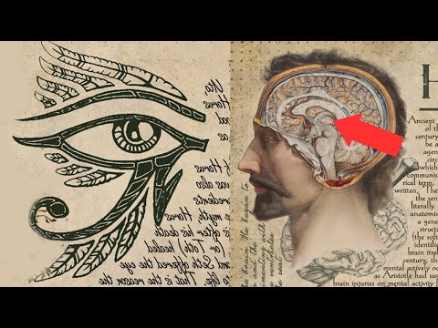 Once I activated my pineal gland, my life changed forever