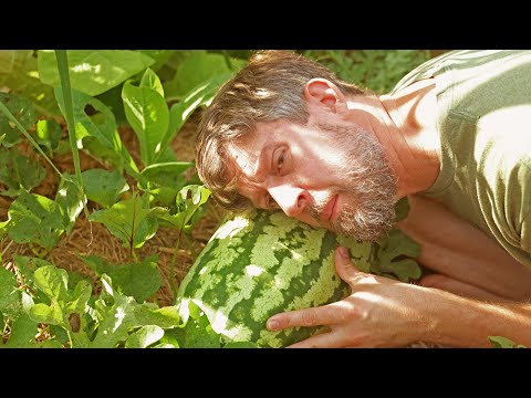 See What 10 Months of Grocery Row Gardening Leads To!? (David The Good Summer Garden Tour)