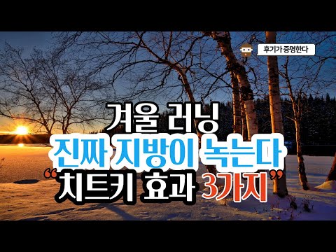 다이어트 효과를 미친듯이 올리고싶다면? 무조건 겨울러닝을 시작하세요