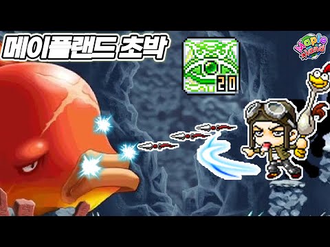 무자본 표도 트리플스로우 30 뚫고 파산했습니다