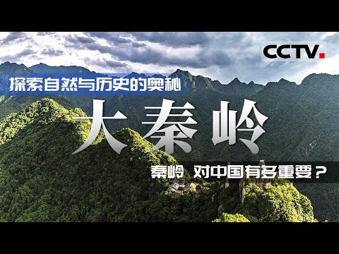 大秦岭：探索自然与历史的奥秘 秦岭到底有多重要？为何被称为华夏文明的“龙脉”？【CCTV纪录】