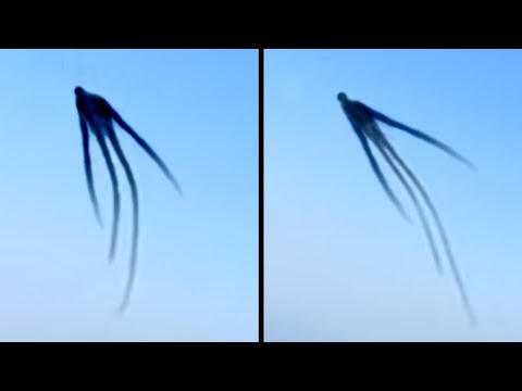 When Flight Passengers Captured What No One Was Supposed to See