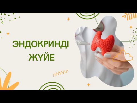 Эндокринді жүйе/ Анатомия және физиологиясы