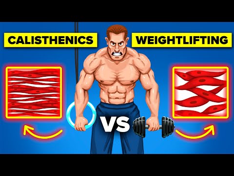 Study Reveals Calisthenics vs. Weightlifting: Which One Is Best for You? | The Workout Show