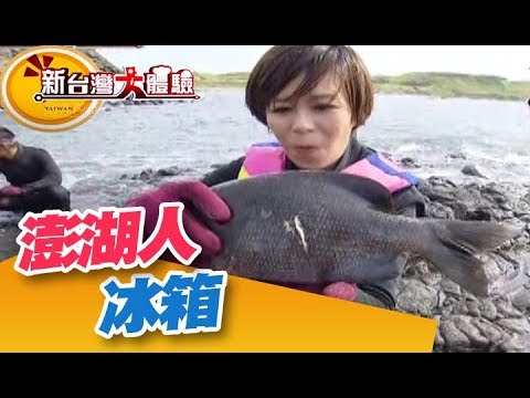 澎湖人的冰箱 邊抓邊吃最唰嘴！《新台灣大體驗》第136集 廖慶學