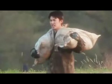 明明是个弟弟，却让人忍不住叫他哥哥~