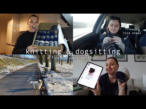 a fun, cozy winter weekend 🫶🏼 knitting, books & dog sitting