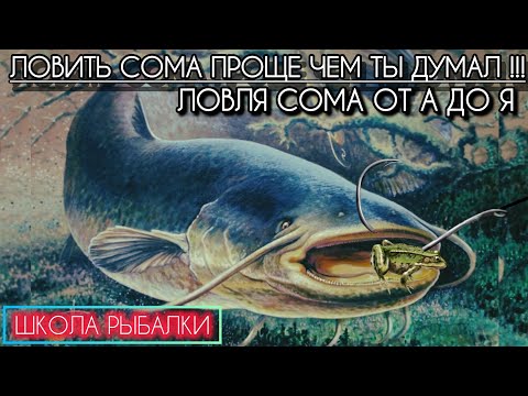 WHERE? HOW? WHAT WITH? KNOW THIS to catch CATFISH from the shore! Catching CATFISH is easy!!! CAT...