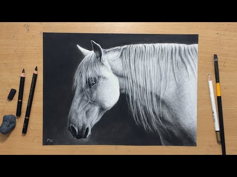 Charcoal Drawing of White Horse