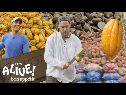 Brad Makes Chocolate in Ecuador: Part 1 | It's Alive | Bon Appétit