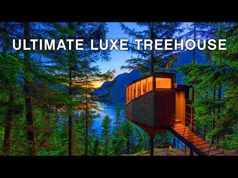 Inside World’s Wildest Treehouse Stay: Woodnest Norway