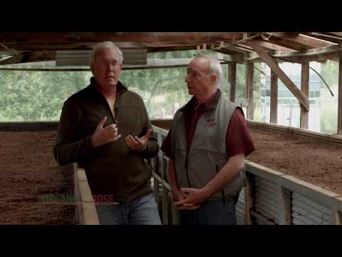 Worm Farm - The Organic Rose