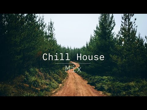 Roam: Chill House || Downtempo Mix