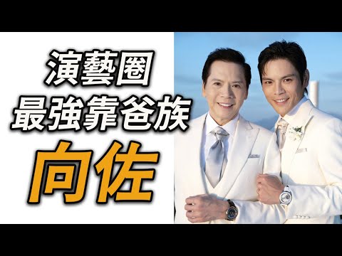 演戲、武打、綜藝全翻車，花20億也捧不紅的少爺向佐，練七年武術卻輸給男團成員，又可憐又好笑的向佐的故事～