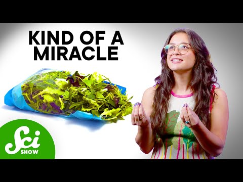 Bagged Salad Shouldn’t Exist