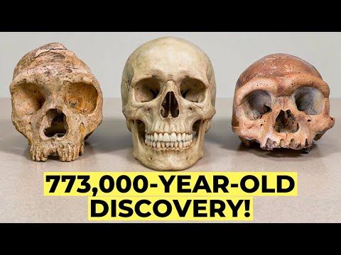 New Evidence Reveals Our Missing Link to Neanderthals and Denisovans