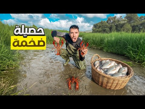 تحدي صيد الكروفيش والسمك بطريقة بدائية حصيلة خرافي