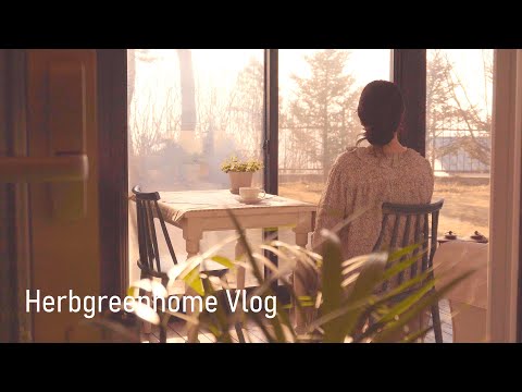 🌱소소한 일상으로 채워 가는 아늑한 집 ㅣ 활기를 주는 아침 루틴