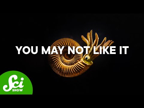 This Is The Best Predator Defense Of All Time