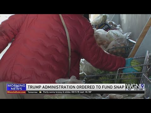 Judges order SNAP funding to continue as shutdown threatens food assistance for many Illinois famili