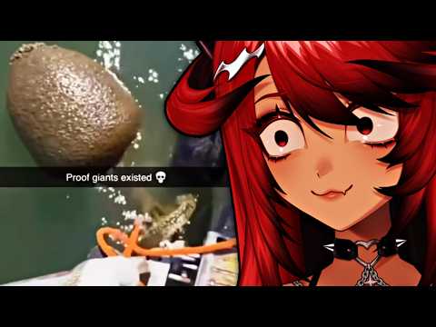 WAIT A MINUTE... (r/HolUp)