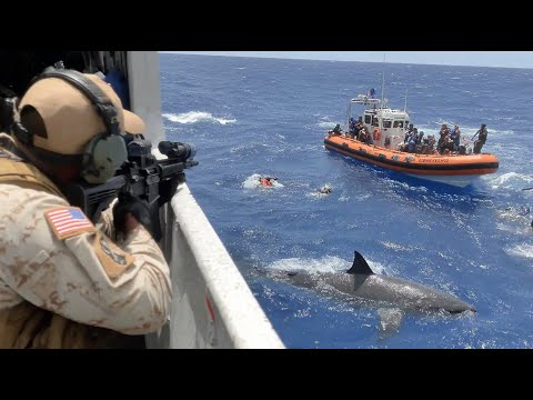 How US Sailor Shoots at Shark to Save Fellow Sailors from Deadly Attack