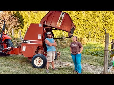 Better Than a Snowball || From The Hayfield to The Supper Table || September 2025