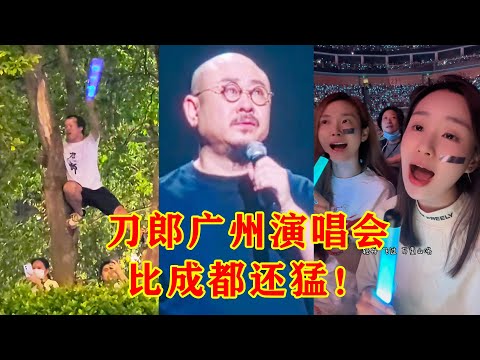 刀郎广州演唱会比成都还猛！场外歌迷比场内的还嗨！树上都挂满了人
