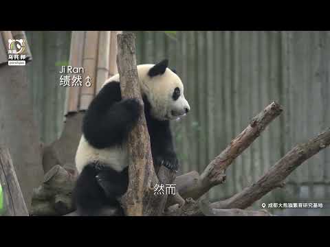 注意看,这个男人叫小帅|据鸽所知6