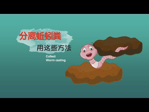 【蚯蚓粪】84•有机肥/蚯蚓粪在商场里卖的比大米贵！用这些简单的方法就可以分离蚯蚓粪。春天要把各种肥料做起来