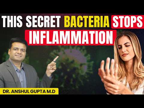 This Bacteria Turns Off Inflammation (And Most People Don’t Have It)