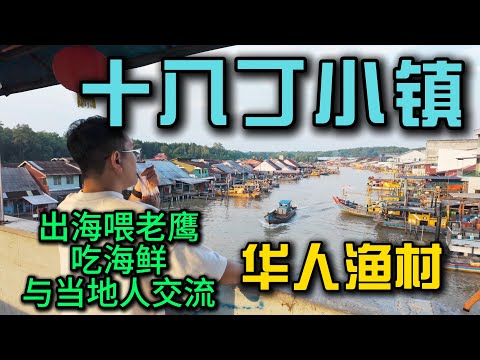 【马来西亚霹雳州】十八丁华人渔村探秘｜出海喂老鹰、品尝超鲜海鲜，感受最纯粹的人情味！