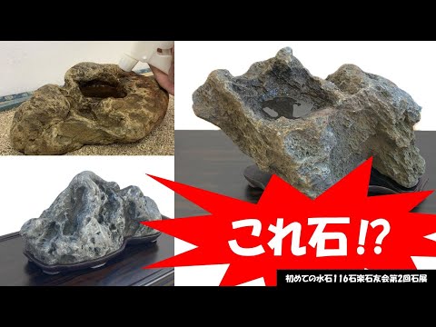初めての水石116　石楽石友会第2回石展