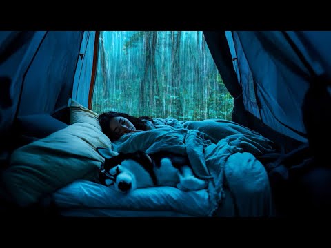 Rainy Night in a Cozy Tent ⛈️ Soothing Thunderstorm Sounds for Deep Sleep & Relaxation