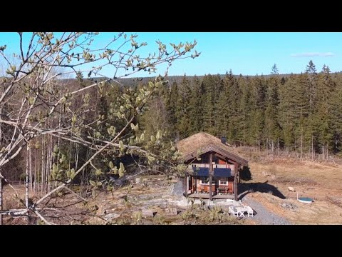 Preparing for Lambs, Tapping Birch & Sowing Seeds. Homestead Diary | Daily life off grid in Norway