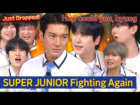 Fists Before Words ๐ข๐ขSUPER JUNIOR Fight Stories Again ๐ฅ๐ฅ
