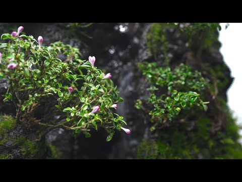 Making a 30cm Waterfall