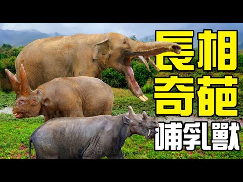 長得越怪，滅絕的越快？盤點地球上出現過的十大長相奇葩哺乳動物丨動物之最