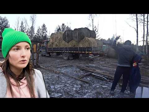 IT'S BETTER NOT TO GO AT TIMES LIKE THAT. MY HUSBAND HAS BROKE DOWN ALL THE FENCES AGAIN. LIFE IN...