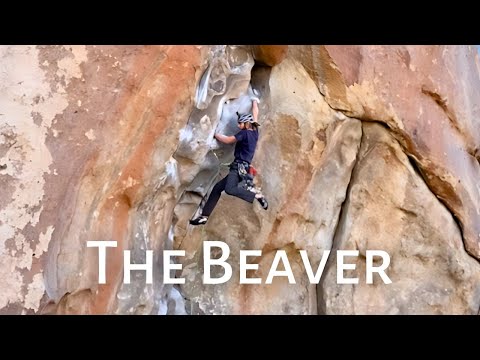 Leave it to Beaver! 5.12a Beta Breakdown