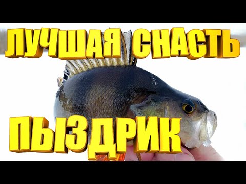 I never go fishing without this gear. A homemade baitfish bait is always a lifesaver. It's been p...