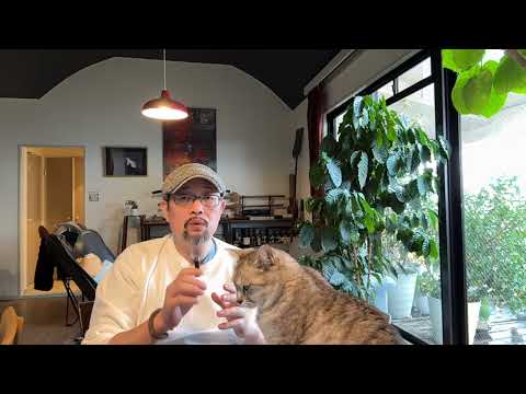 大V真的值四万欧元/月么；骂不骂圣上是不是红线？日本造核弹可能只需一个月，唯一制约者只有美国