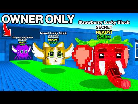 $0 To $100 Trillion With OWNER LUCKY BLOCKS ONLY!
