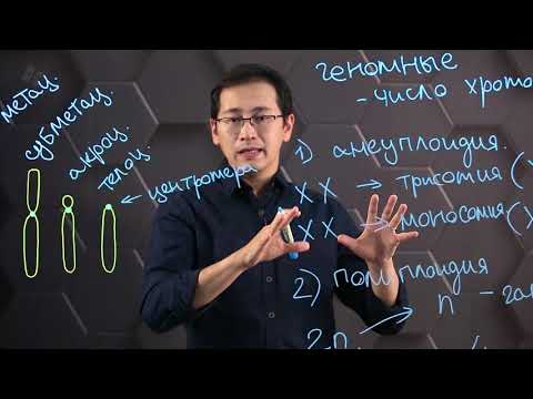 Compiling a karyogram of the human chromosome set. Grade 10.