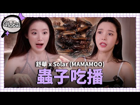 [SUB] 🎉為了頻道開幕🎉  MAMAMOO Solar 初登場就來昆蟲吃播洗禮🐛｜鑑定師 Global EP.1 ｜i-dle 舒華